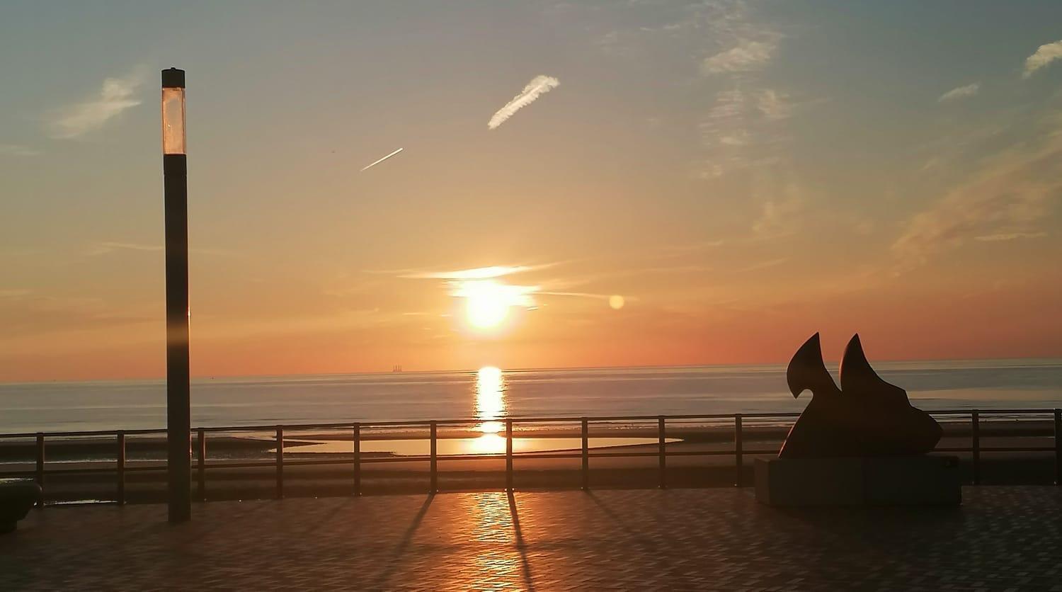 Studio Amor Op Het Gelijkvloers Met Tuintje Nabij Strand De Haan Exterior foto